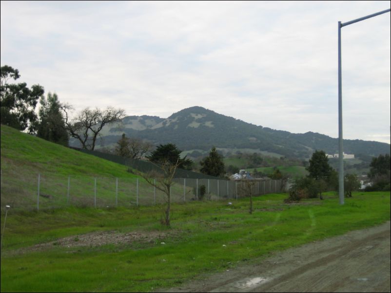 2005-01-29 Burdell (14) view back from highway